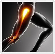 Hip & Knee
