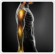Upper Extremity